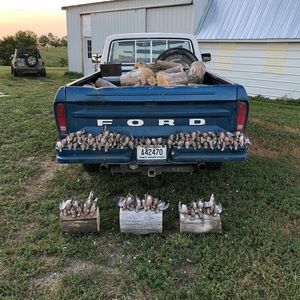 Meet your Posher, Anders